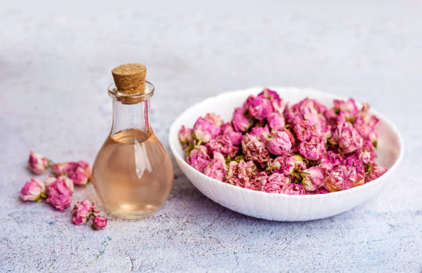گل محمدی